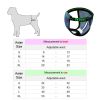 Dog Physiological Pants Pet Diaper Sanitary Underwear Washable For Puppy Small Middle Large Dog - Blue - XL
