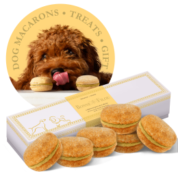 Dog Macarons - Count of 6 (Dog Treats | Dog Gifts) - Cheese